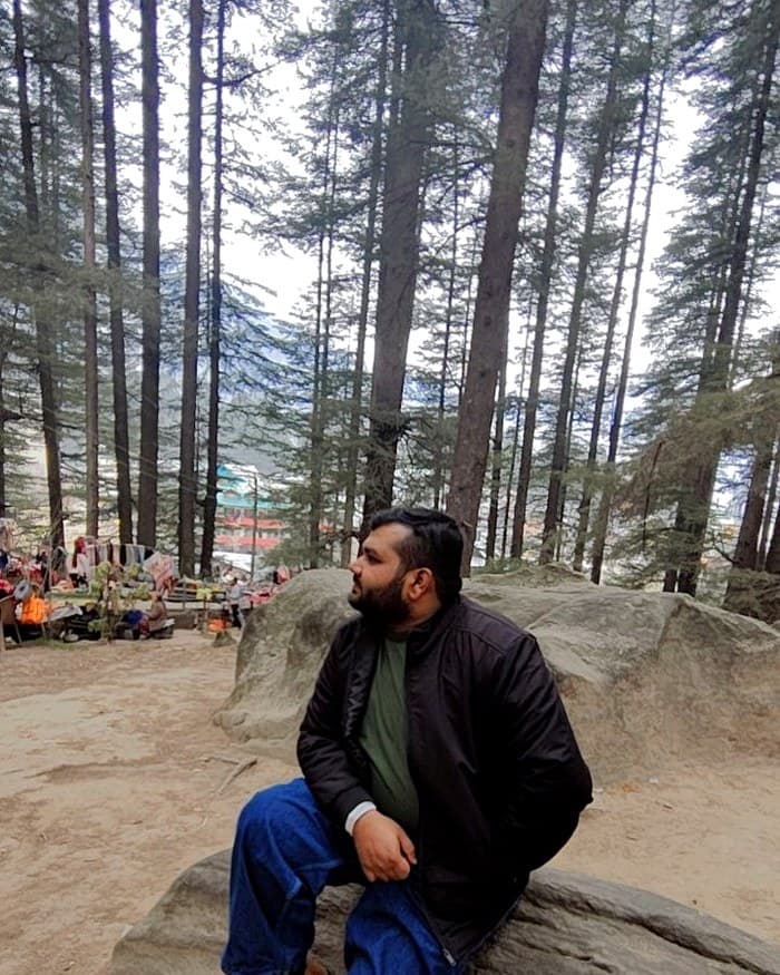 Sitting in a pine forest in the hills